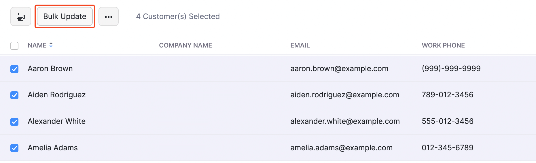 Customers - Bulk Update