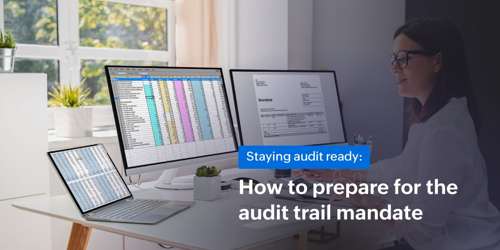 Audit trail feature in accounting software