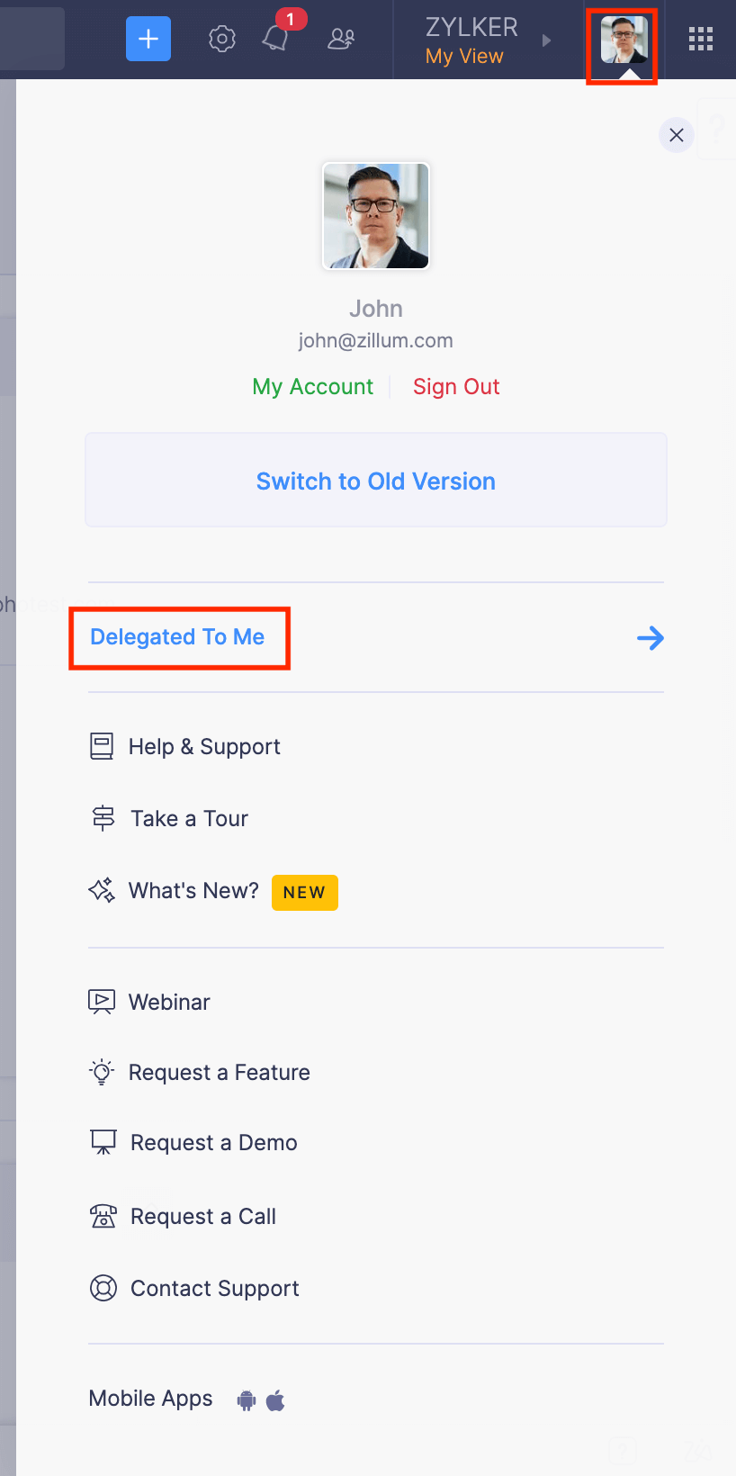 Switch to Delegate's View